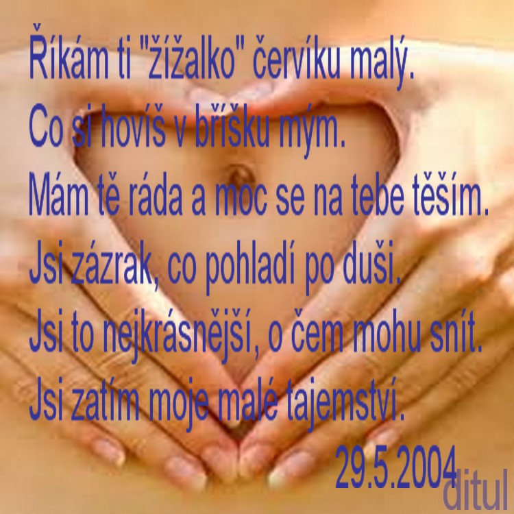 04.05.29